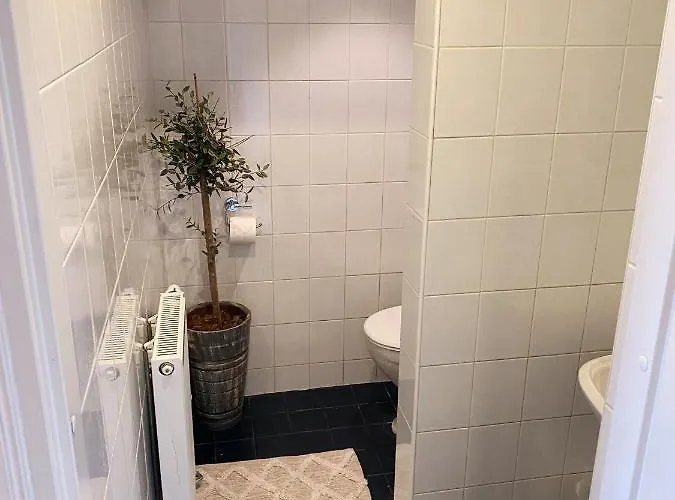 Kolme Venna 페르누